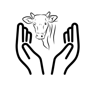 लोकरी उत्पादने